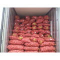 Wholesale potato/Potato low price/ Fresh potato from China